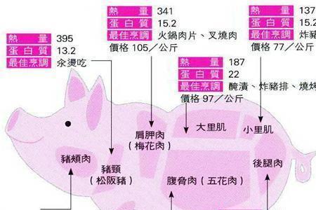 猪下青是猪的什么部位