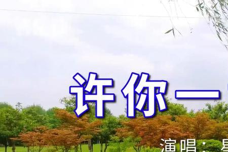许你一世情什么意思啊