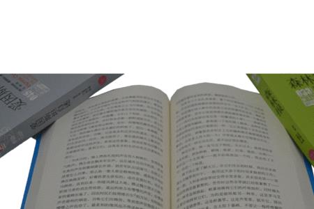 沙乡年鉴属于什么文体