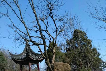 御道的道是什么意思