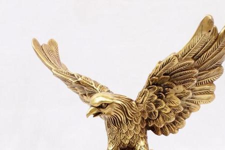 大鹏展翅的正确姿势
