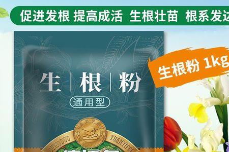 多菌灵和柳枝能做生根剂吗