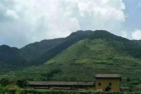 农村山岭属于什么性质的地