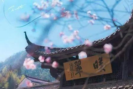 点破红尘是什么意思