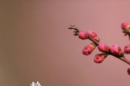 春来冬去是哪首歌歌词