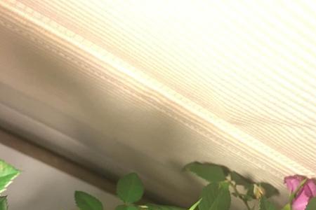 玫瑰花掉花苞怎么办