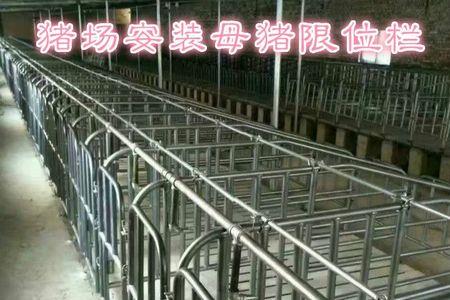 猪栏用锡纸防寒保暖吗