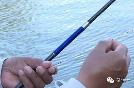 鱼推漂向前走是什么原因