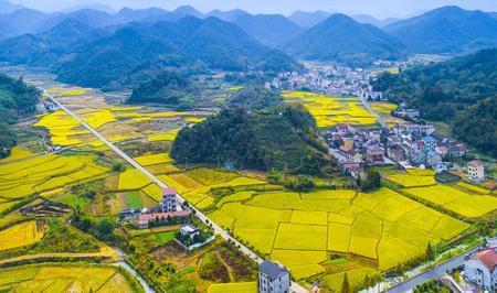 田野的寓意和象征