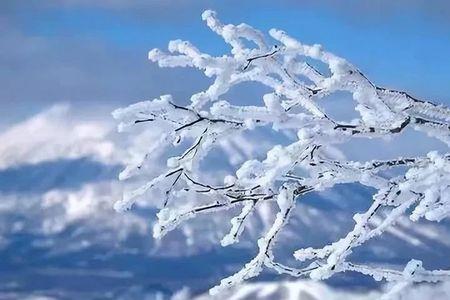 倚窗听雪是什么意思