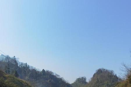 花开应有时的意思
