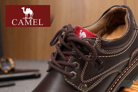 沈阳哪里有camel骆驼专卖店