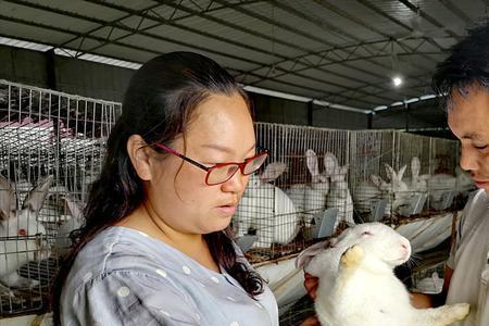 月兔养殖前景如何