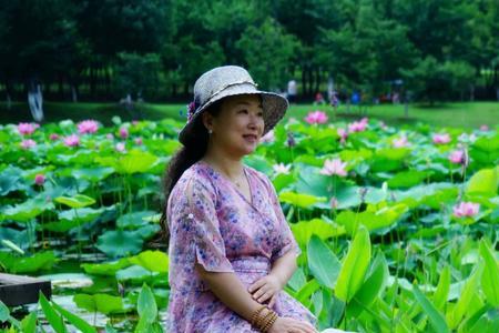 心向莲花什么意思