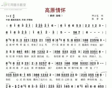 歌词中有情怀是什么歌