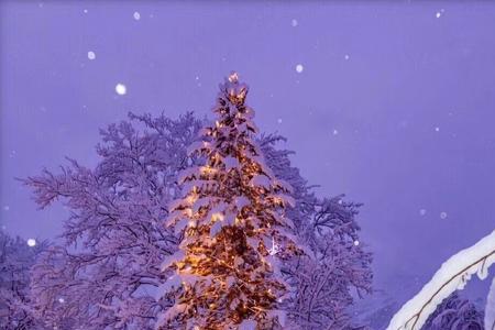一起看最后一场雪的寓意