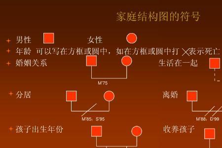 家庭重大生活事件怎么填