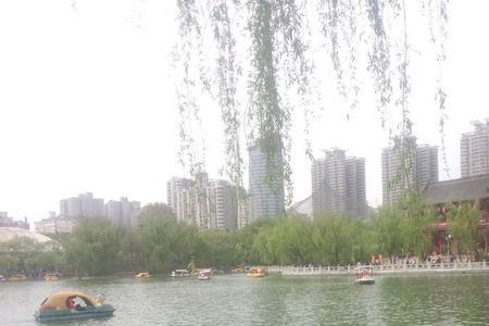 兴庆公园，来历