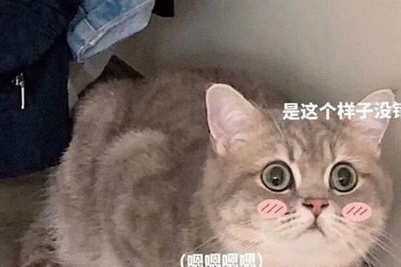 否认自己是什么意思