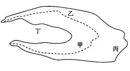 沙丘迎风坡和背风坡怎么辨别