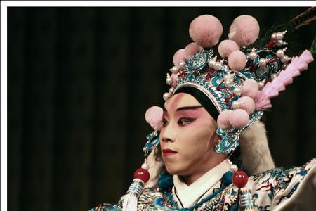 刘兰芳评书杨文广征西全集