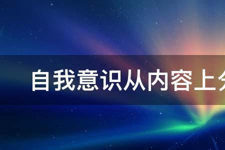 自我体验包括
