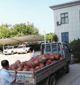2.5米小货车可以装多少西瓜