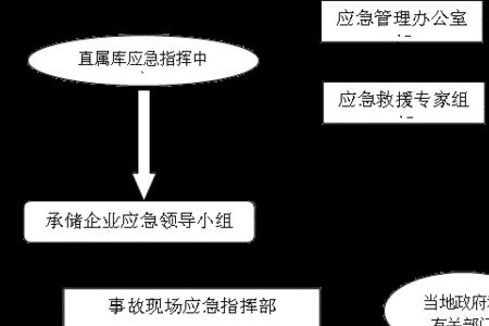 现场指挥部应当履行多少项职责