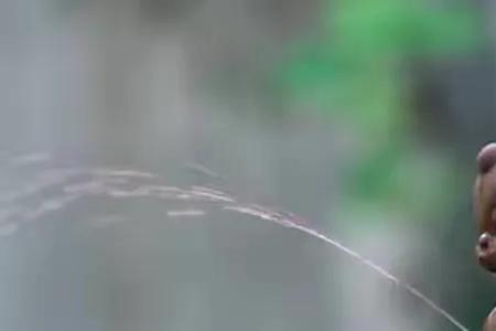 为什么不能往火堆里尿