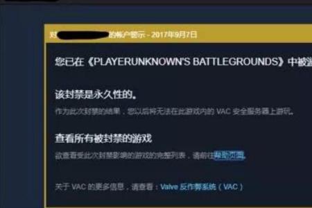 vac验证错误什么意思