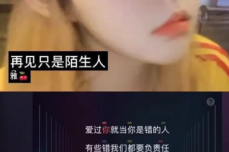 再见了陌生人什么意思