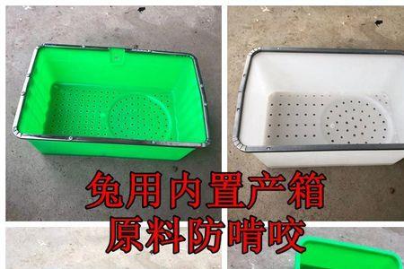 母兔产箱高度最佳尺寸