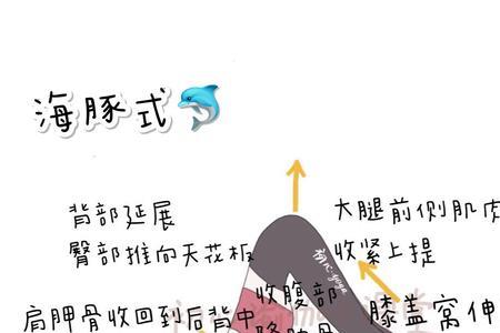 海豚如何运动!急