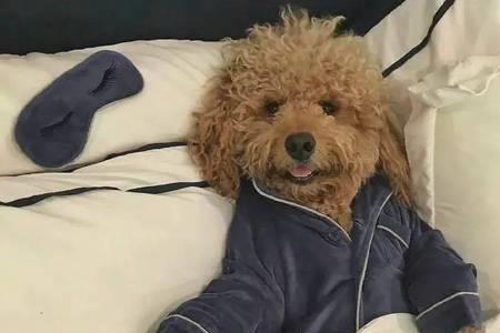 热爱和众望终会殊途同归的意思