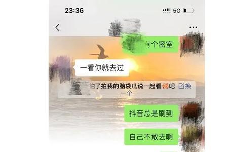 四天半什么意思