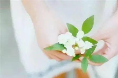 女生说有缘自会相见怎么回