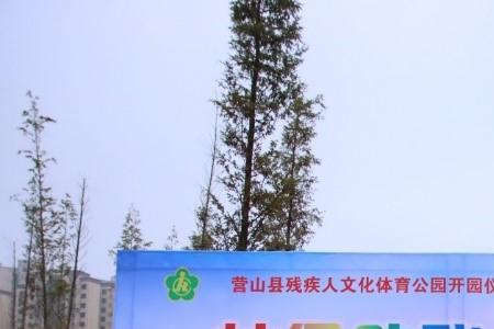 残疾人有社会残疾院收留吗