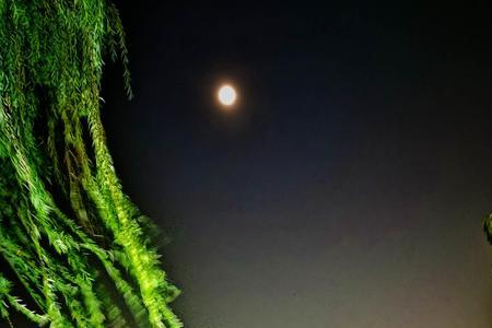 夏天月圆之夜好钓鱼吗