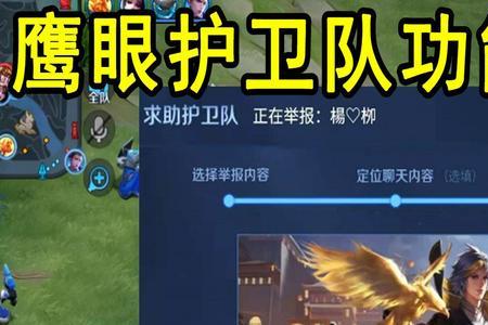 鹰眼护卫队判定违规有什么处罚