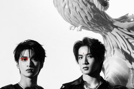 无畏少年团资料