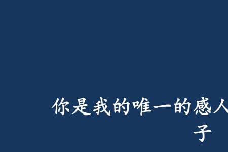 他是我的唯一英文缩写