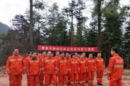 森林防火归林业还是应急