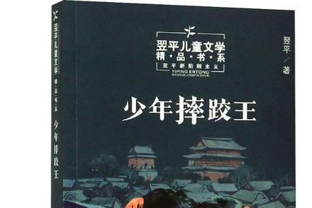 少年摔跤王读后感
