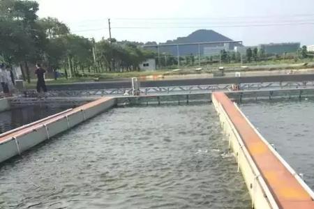 鱼塘养鱼要一直进水吗