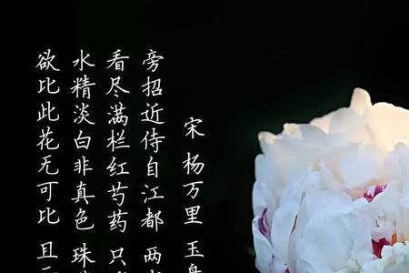 芍药为什么叫鬼花