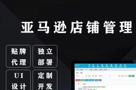 亚马逊一个店铺几个人管理