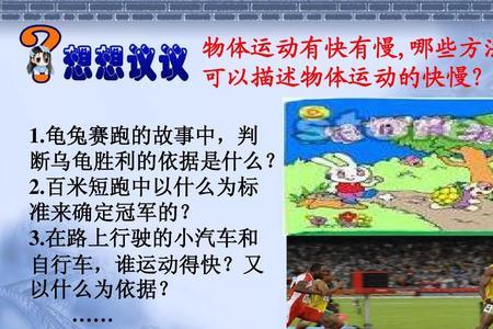 龟兔赛跑道里是什么