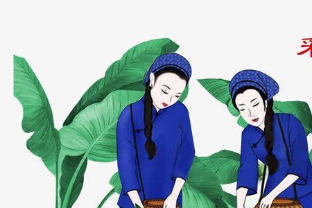 形容采茶女的词语