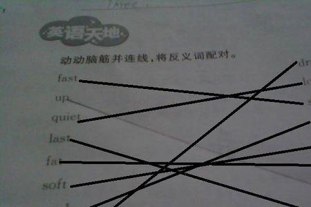 thⅰn的反义词是什么
