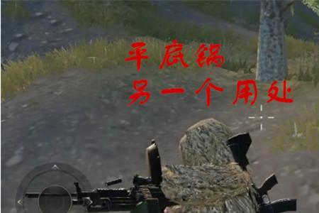野得很是什么意思啊